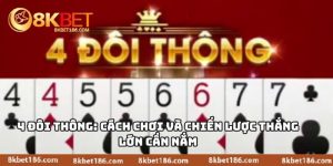 4 Đôi Thông