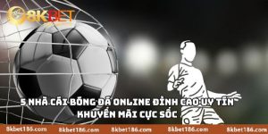 5 Nhà Cái Bóng Đá Online Đỉnh Cao