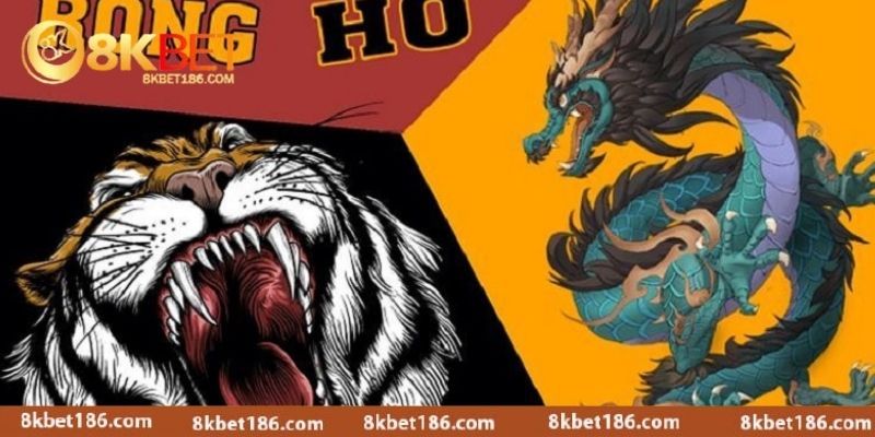 Cẩm nang đầy đủ về cách chơi rồng hổ