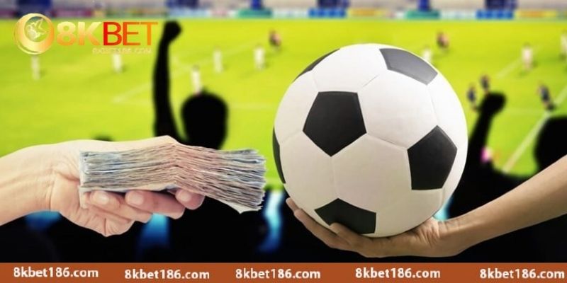 Trước khi tham gia cần nắm một vài lưu ý cần thiết