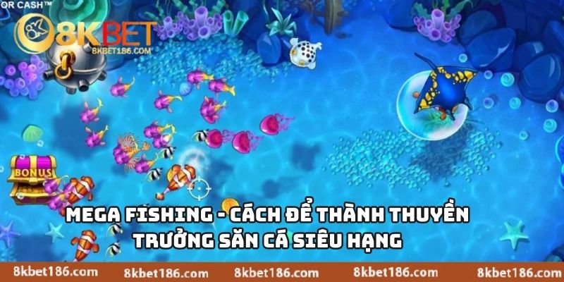 Mega Fishing