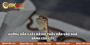 Mơ Thấy Rắn Vào Nhà Đánh Con Gì