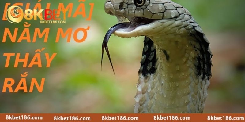 Hình tượng của rắn trong văn hóa 