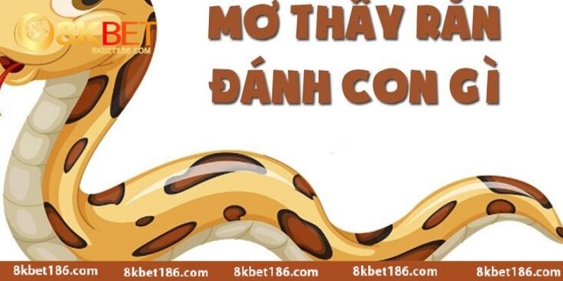 Các con số may mắn khi mơ thấy rắn