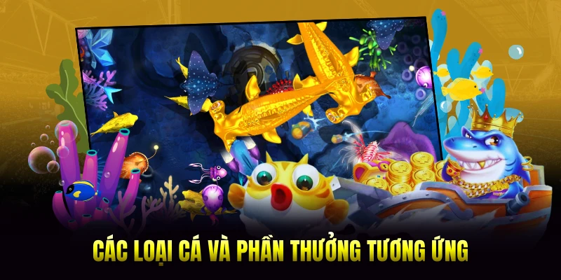 Các loại cá và phần thưởng tương ứng