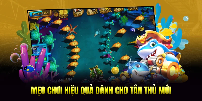 Mẹo chơi hiệu quả dành cho tân thủ mới